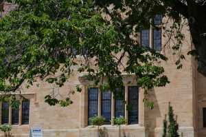 carrick hill 2014 (54)